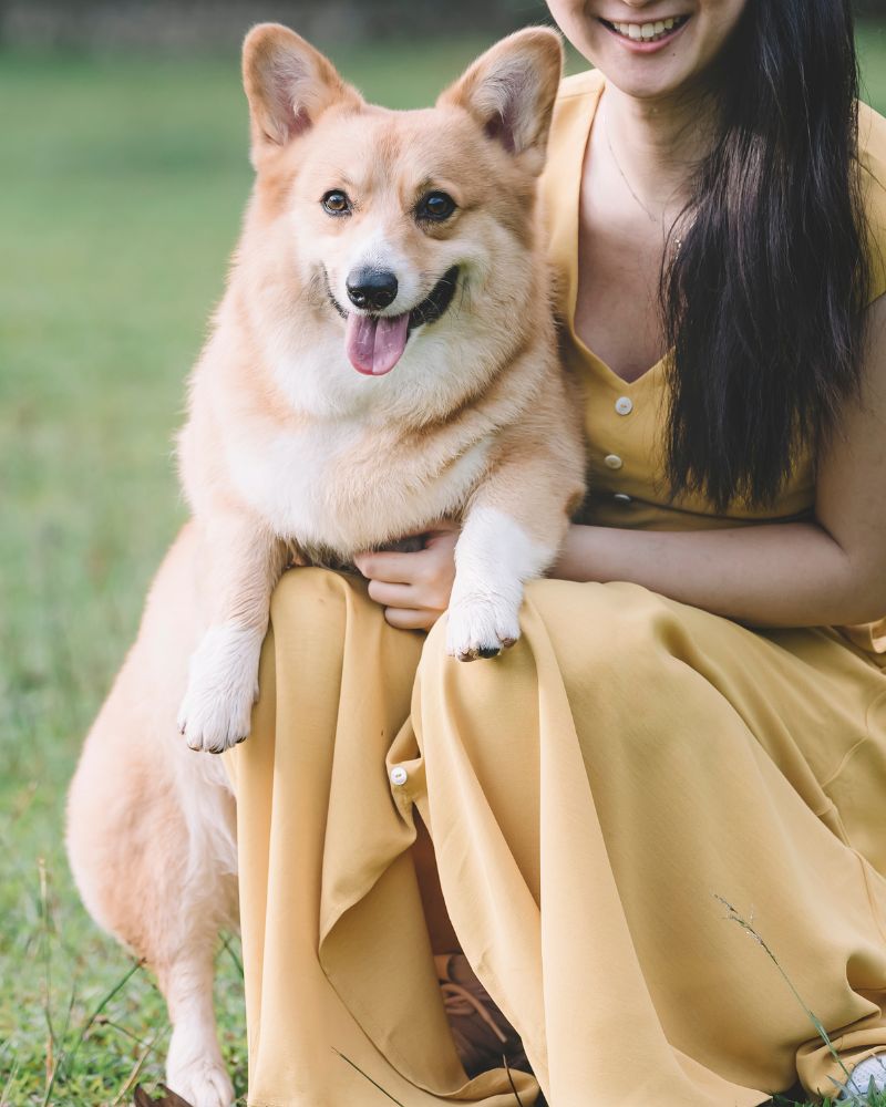 a person in a yellow dress holding a dog